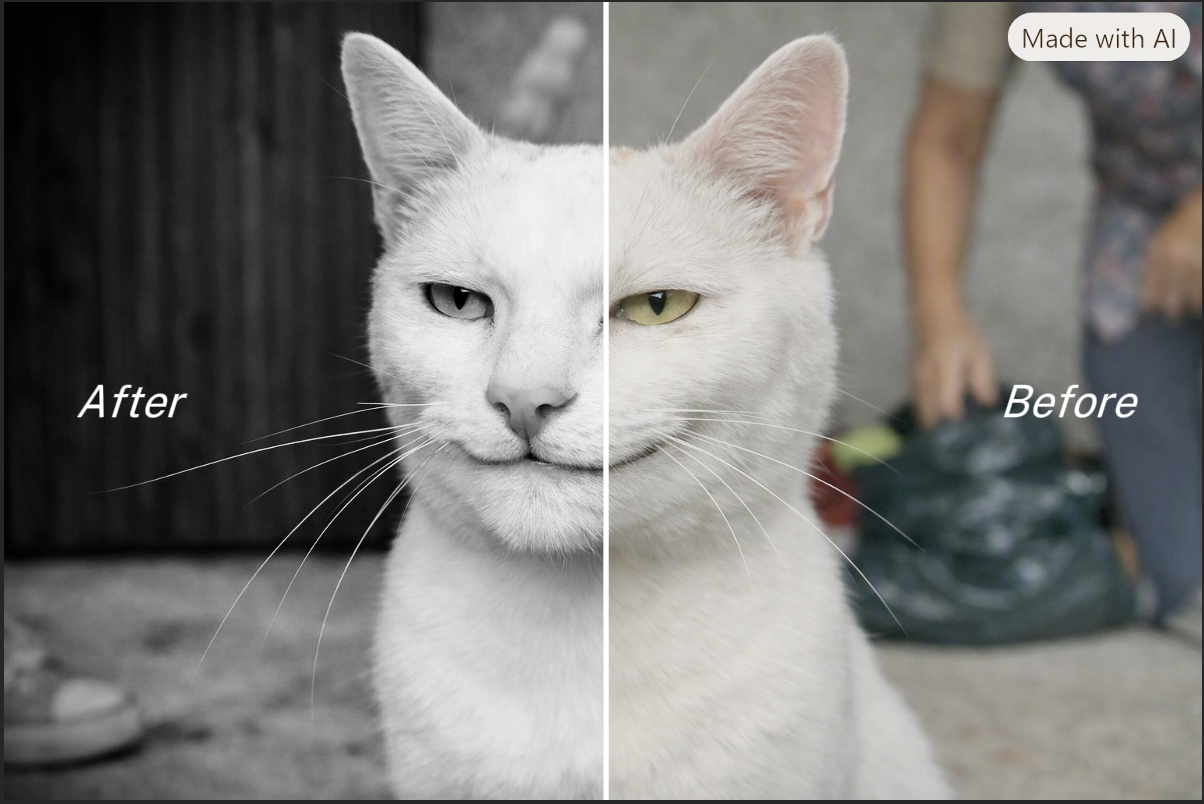 Black and White